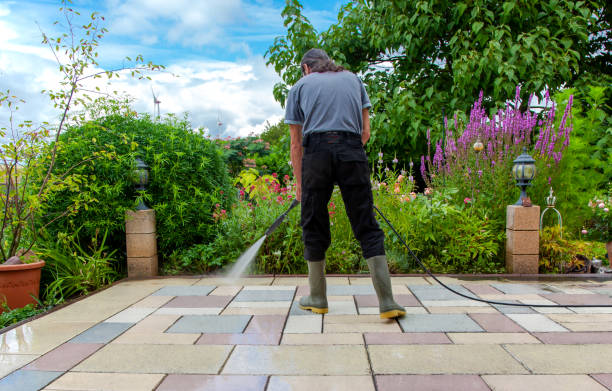 Animal Enclosure Cleaning in Lakeview, NY